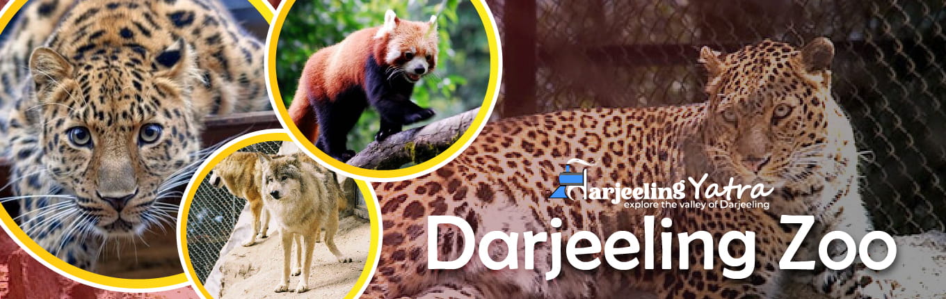 Darjeeling Zoo