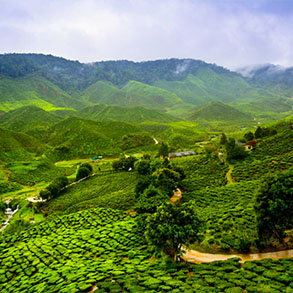 sikkim