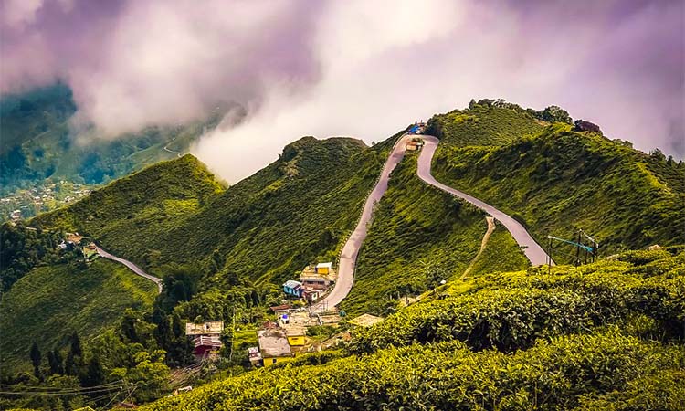 Darjeeling Tour Package