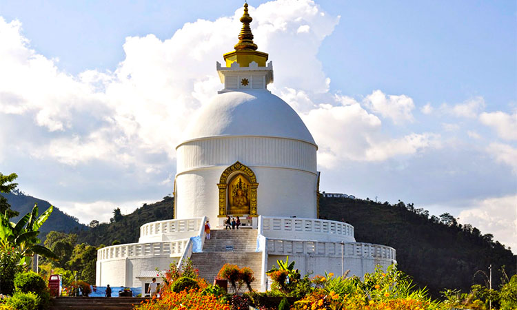 NJP to NJP Darjeeling Tour Package