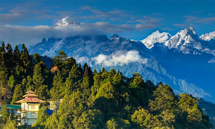 Darjeeling Pelling Ravangla Tour Package