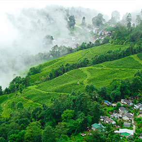 Darjeeling Tour Package